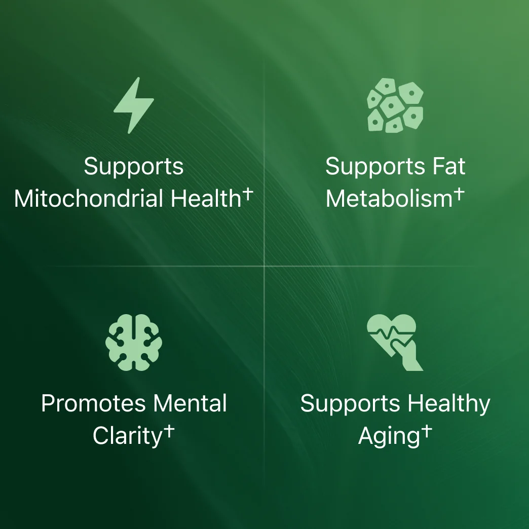 Key benefits