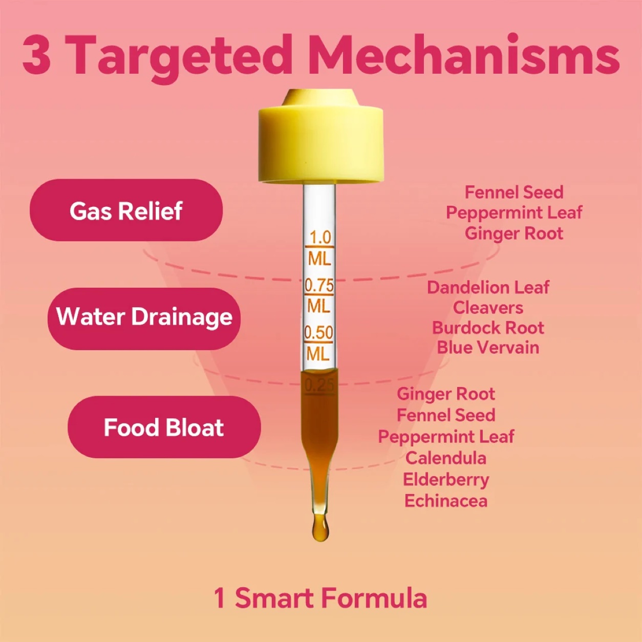3 targeted mechanisms