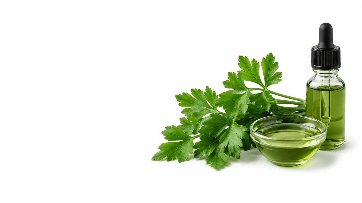 Parsley Extract