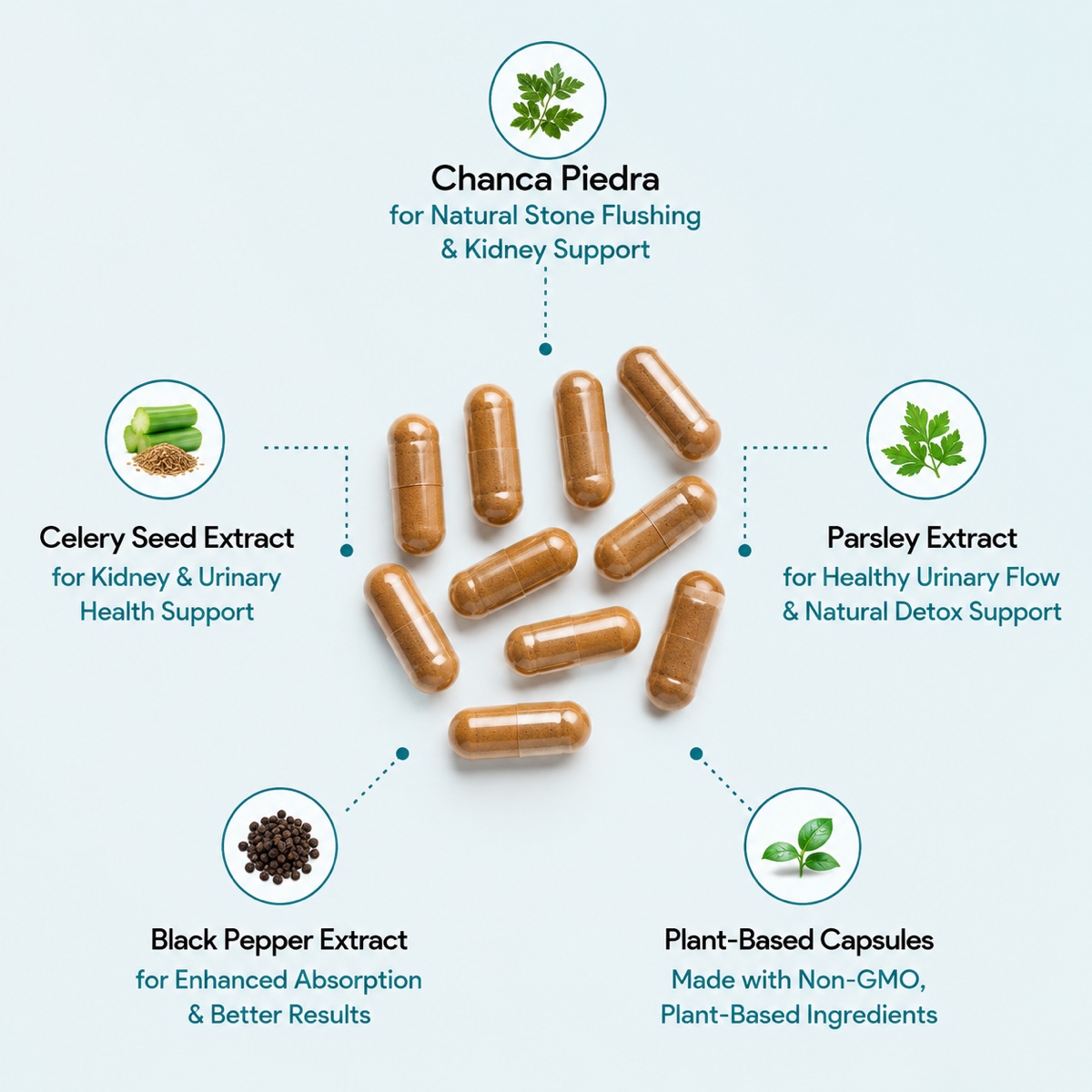Key ingredients