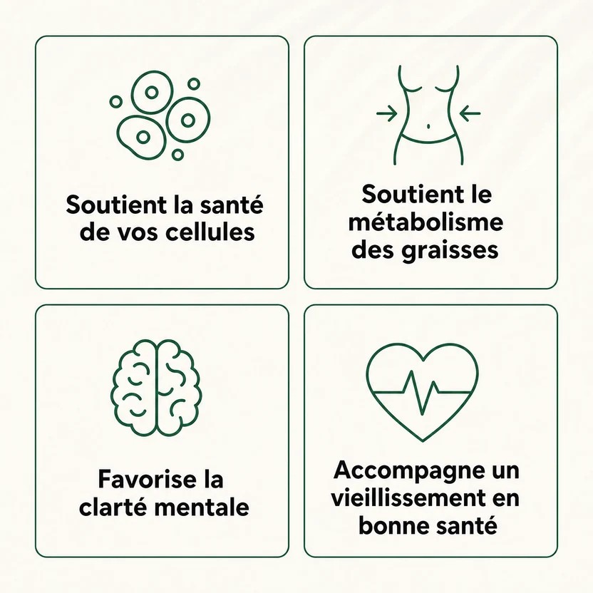 Bienfaits de l'amla
