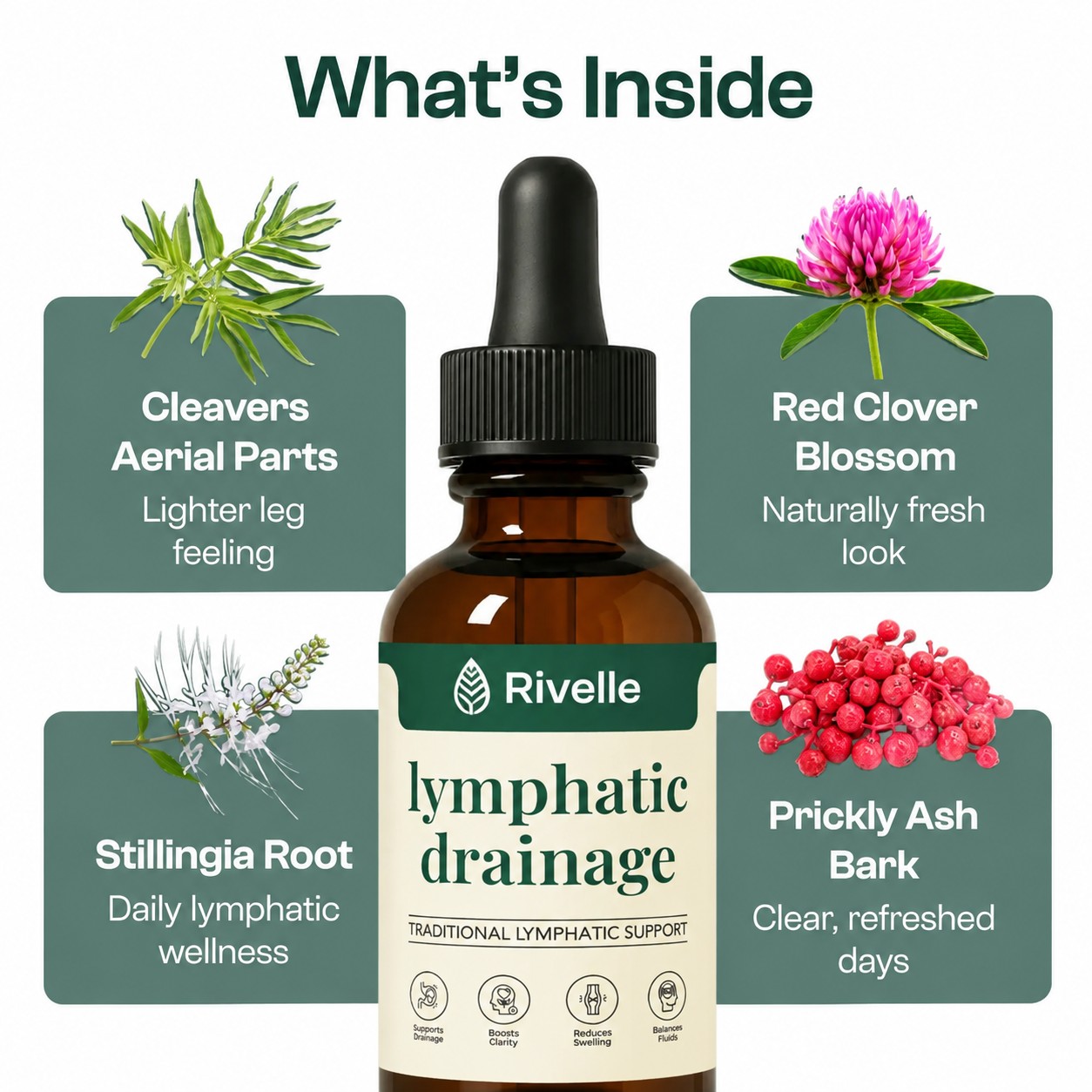 What is inside: cleavers, red clover, stillingia, prickly ash