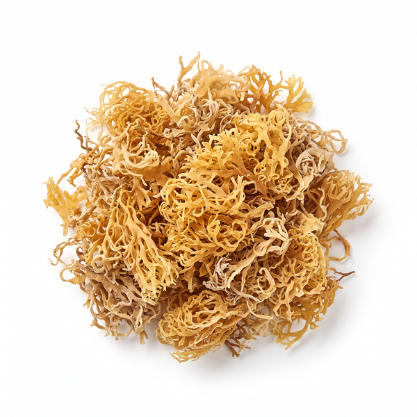 Sea Moss